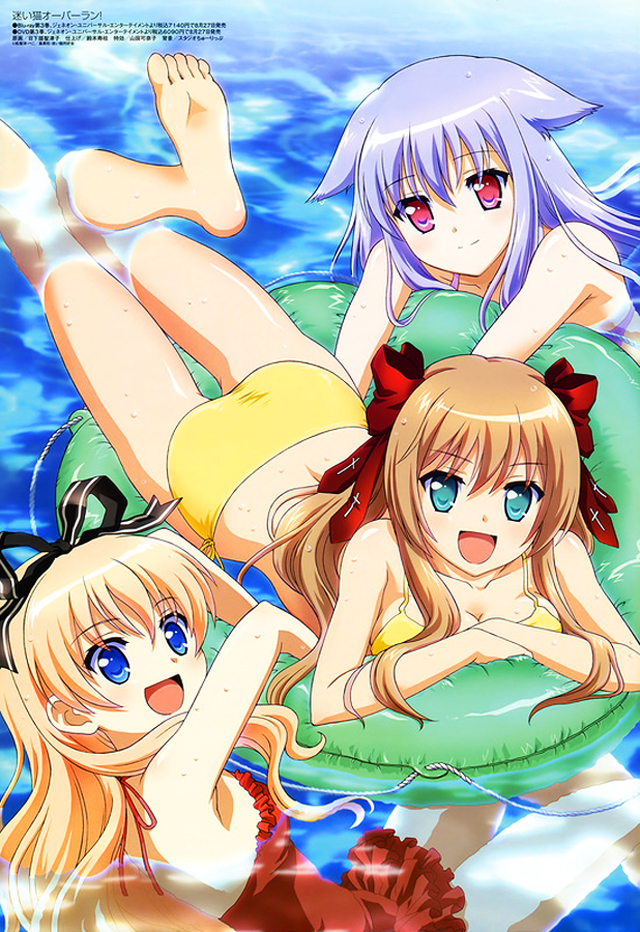 Постер Нашествие бродячих кошек! / Mayoi Neko Overrun!